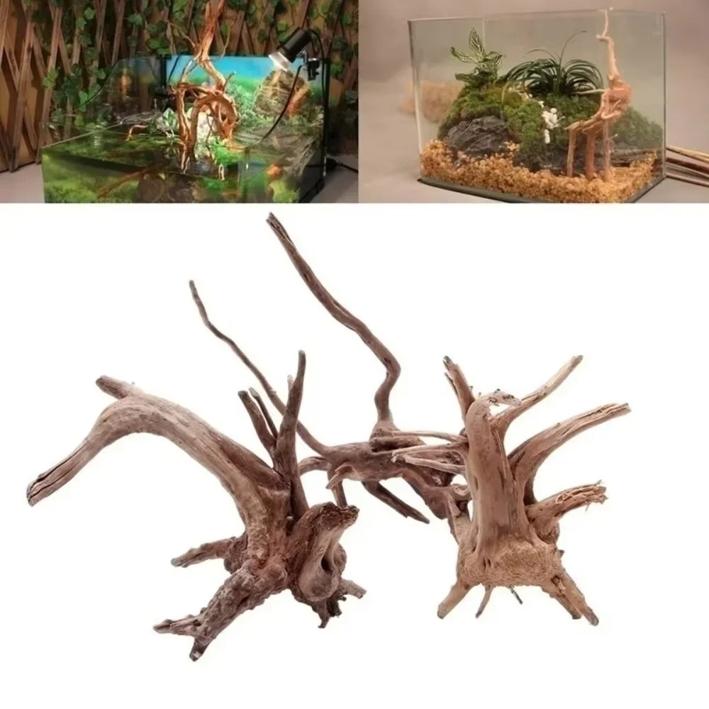 Marine Fish Tank - 15-20CM Natural Driftwood Aquarium Decor -