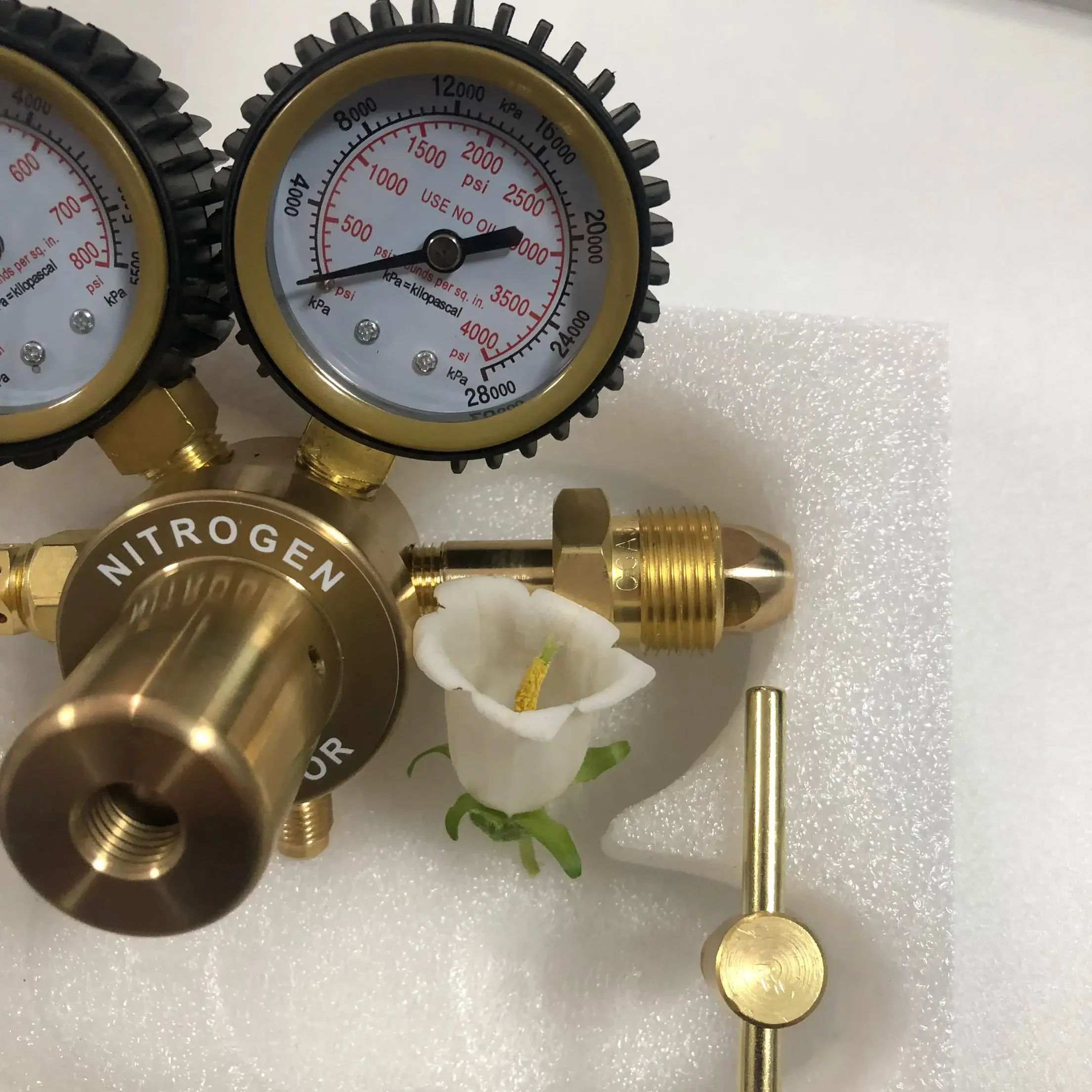 Pressure Reducer American Styl - Nitrate Reductase ulasan dan harga