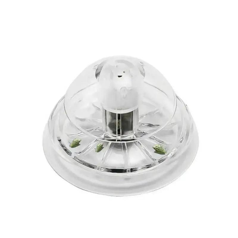 2026 New 6/8CM Clear Plastic S - Marine Aquarium ulasan dan harga