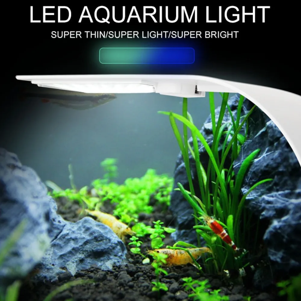 5W Mini LED Aquarium Light, Ul - Reef Lighting ulasan dan harga