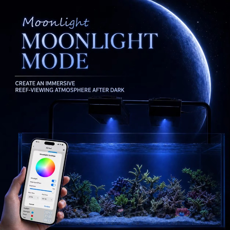 AIPAI A8 III Series A8SE/A8 Pr - Reef Lighting ulasan dan harga